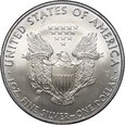 USA, dolar 2010, Silver Eagle, uncja srebra