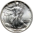 USA, 1 dolar 1989, Silver Eagle