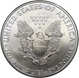 USA, 1 dolar 2010, Amerykański srebrny orzeł