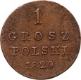 Królestwo Kongresowe, Mikołaj I, 1 grosz polski 1829 FH, Warszawa