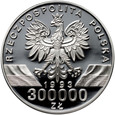 III RP, 300000 złotych 1993, Jaskółki