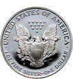 USA, 1 dolar 1993 P, Silver Eagle, stempel lustrzany (proof)