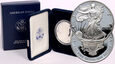 USA, 1 dolar 2002 W, Silver Eagle, stempel lustrzany (proof)