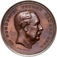 Holandia, medal na cześć P. van der Berga, 1889