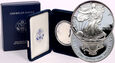 USA, 1 dolar 2003 W, Silver Eagle, stempel lustrzany (proof)