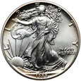 USA, 1 dolar 1989, Silver Eagle