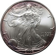 USA, dolar 2006, Silver Eagle, uncja srebra