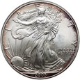 USA, 1 dolar 2003, Silver Eagle