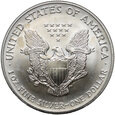 USA, 1 dolar 2003, Silver Eagle