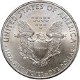 USA, 1 dolar 2008, Silver Eagle, uncja srebra