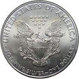 USA, 1 dolar 2010, Silver Eagle, uncja srebra