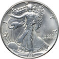 USA, dolar 1991, Silver Eagle,  uncja srebra