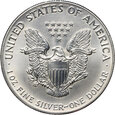 USA, dolar 1991, Silver Eagle,  uncja srebra