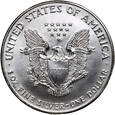 USA, 1 dolar 1994, Amerykański srebrny orzeł, uncja srebra