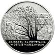 zdjęcie główne
