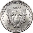 USA, dolar 1987, Silver Eagle, uncja srebra