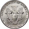 USA, dolar 1987, Amerykański srebrny orzeł