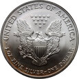 USA, dolar 2007,  Silver Eagle, uncja srebra