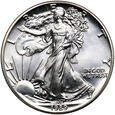 USA, 1 dolar 1989, Amerykański srebrny orzeł, uncja srebra