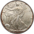 USA, 1 dolar 2007, Silver Eagle