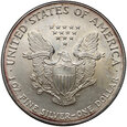 USA, 1 dolar 2007, Silver Eagle