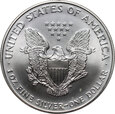 USA, dolar 1999, Silver Eagle, uncja srebra