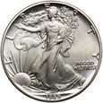 USA, 1 dolar 1989, Amerykański srebrny orzeł, uncja srebra