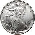 USA, 1 dolar 1991, Silver Eagle, Uncja srebra