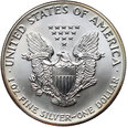 USA, 1 dolar 1991, Silver Eagle, Uncja srebra