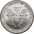 USA, dolar 1992, Silver Eagle, uncja srebra