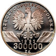 III RP, 300000 złotych 1993, Jaskółki