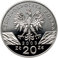 III RP, 20 złotych 2003, Węgorz europejski