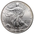 USA, dolar 2005, Silver Eagle, uncja srebra