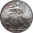 USA, dolar 2009,  Silver Eagle, uncja srebra