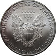 USA, dolar 2009,  Silver Eagle, uncja srebra