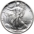 USA, 1 dolar 1989, Silver Eagle