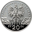 III RP, 20 złotych 2003, Węgorz europejski