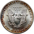 USA, 1 dolar 1992, Silver Eagle