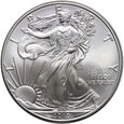 USA, dolar 2010, Silver Eagle, uncja srebra