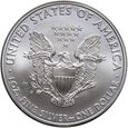 USA, dolar 2010, Silver Eagle, uncja srebra