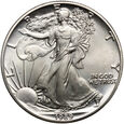 USA, dolar 1989, Silver Eagle, uncja srebra