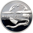 Polska, III RP, 20 złotych 2003, Węgorz europejski