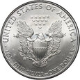 USA, dolar 2010, Silver Eagle, uncja srebra