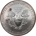 USA, dolar 2008, Silver Eagle, uncja srebra