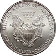 USA, dolar 2010, Silver Eagle, uncja srebra