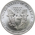 USA, 1 dolar 1993, Silver Eagle