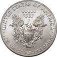 USA, dolar 2013, Amerykański srebrny orzeł