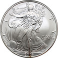 USA, dolar 2006, Silver Eagle, uncja srebra