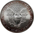 USA, dolar 2008,  Silver Eagle, uncja srebra