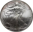 USA, dolar 2010,  Silver Eagle, uncja srebra